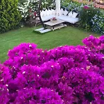 Jakamar Alaçatı