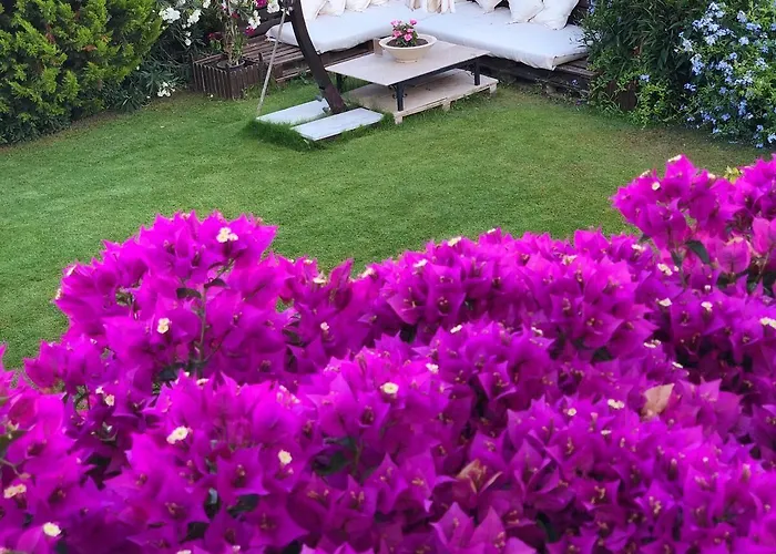 Jakamar אלאקאטי